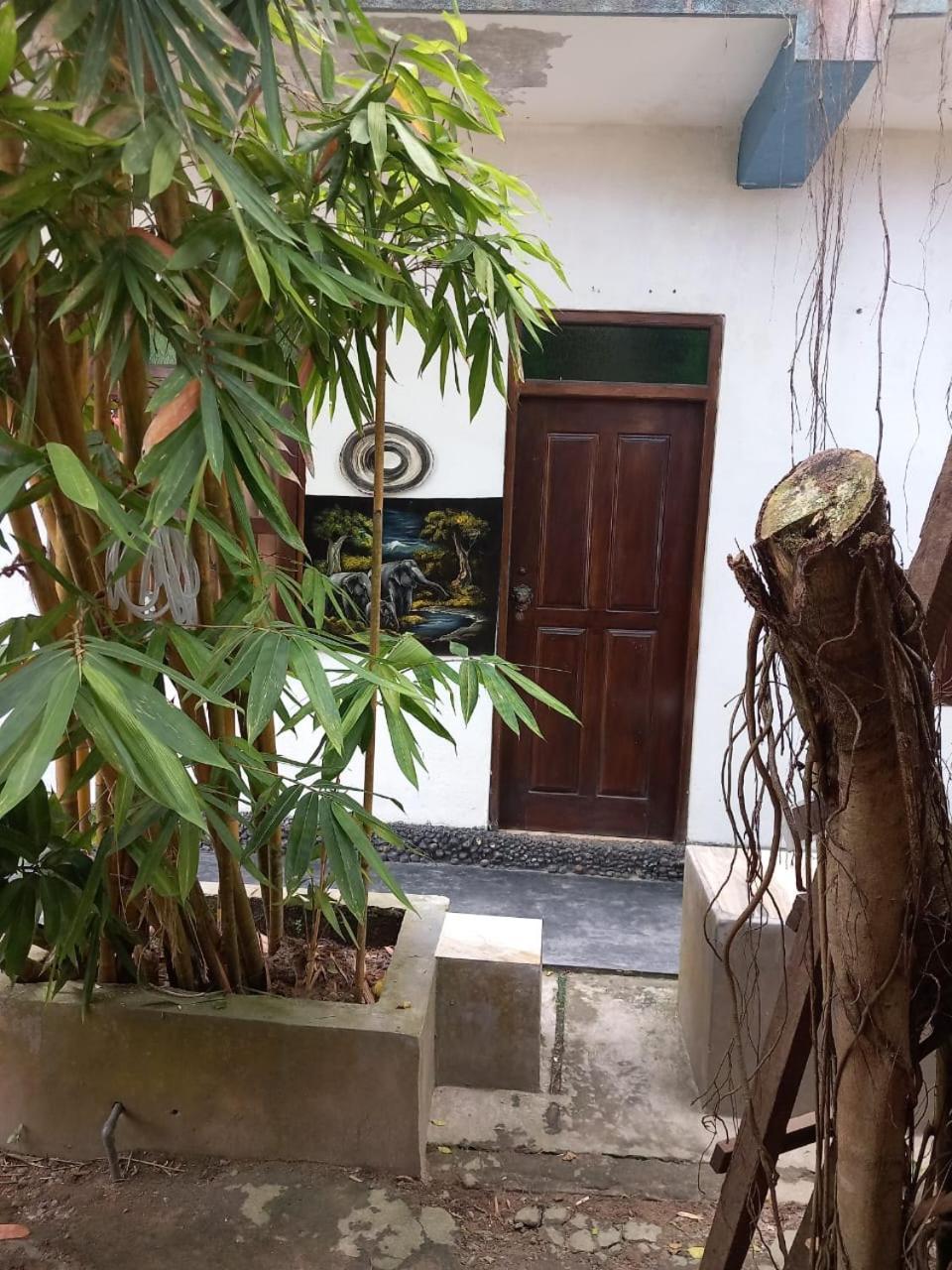 Suninn Hostel And Surf School Weligama Luaran gambar