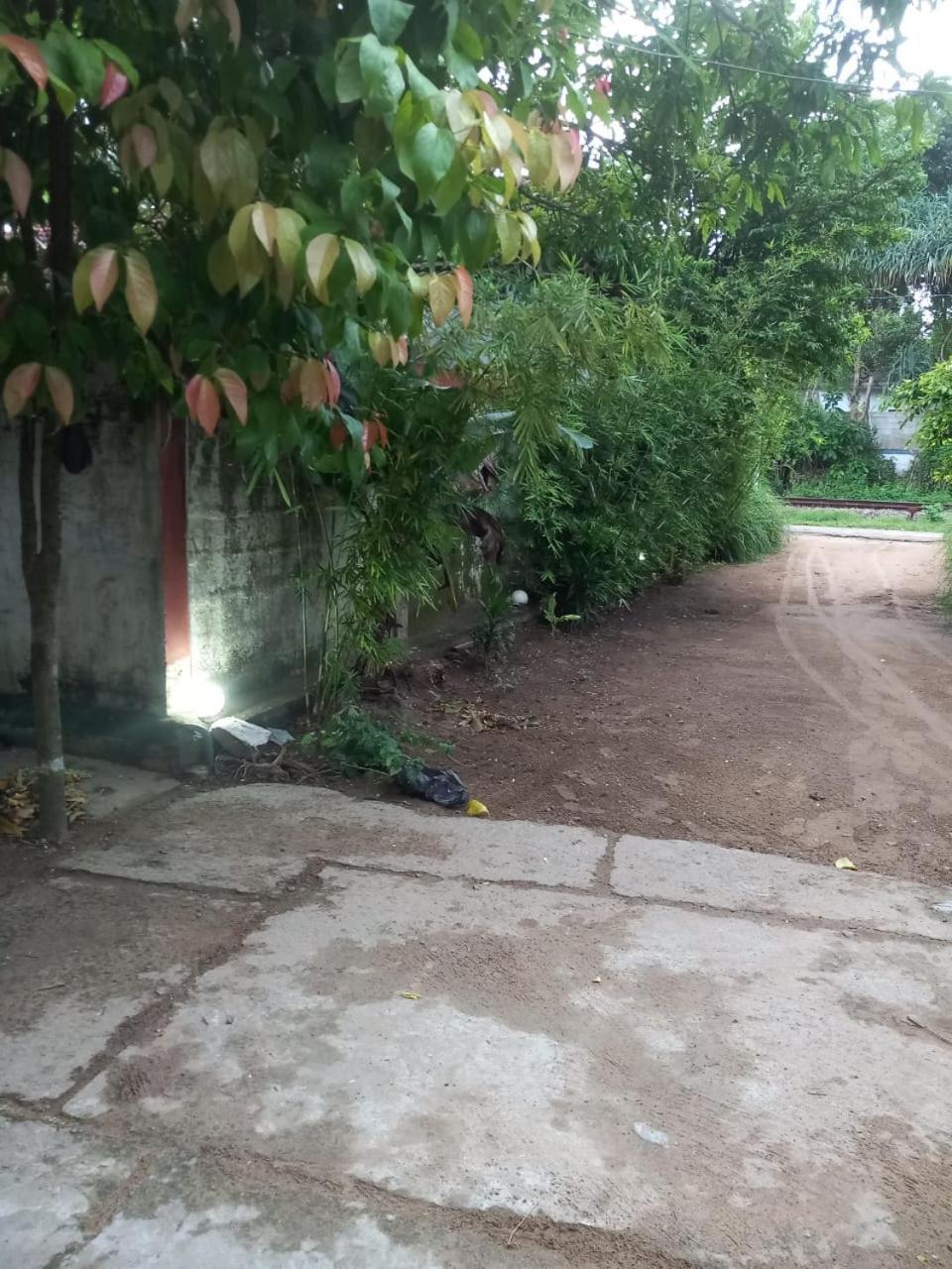 Suninn Hostel And Surf School Weligama Luaran gambar